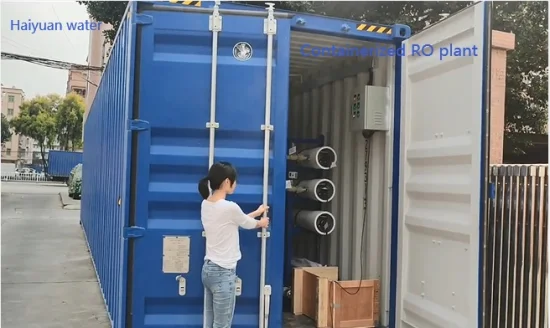 Mobiles Container-Bohrloch-Meersalzwasser-Marine-RO-System RO-Filtrationssystem Wasseraufbereitungssystem für die Trinkwasserbewässerung